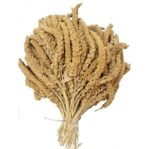 GULE FRANSKE HIRSEKOLBER  500 G.