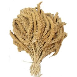 GULE FRANSKE HIRSEKOLBER 2 KG
