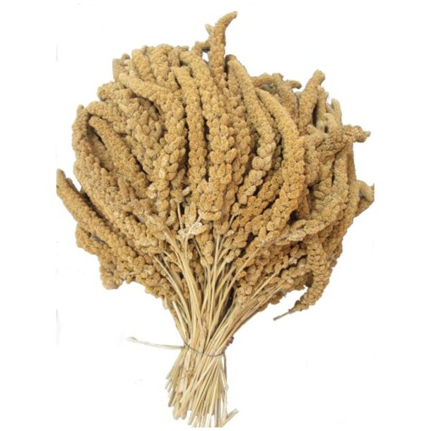GULE FRANSKE HIRSEKOLBER 2 KG