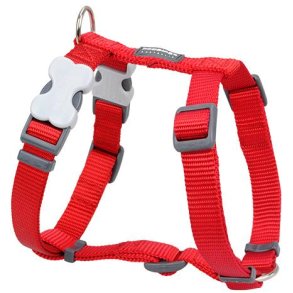 RED DINGO SELE, CLASSIC R�D L
