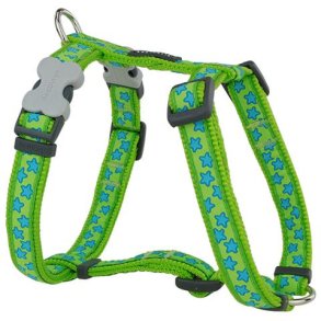 Red Dingo - Sele - Lime gr�n med stjerner L