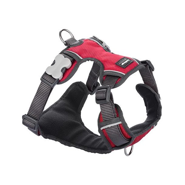 RED DINGO POLSTRET SELE R�D XS