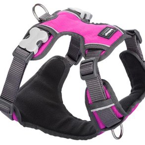 RED DINGO POLSTRET SELE PINK XL