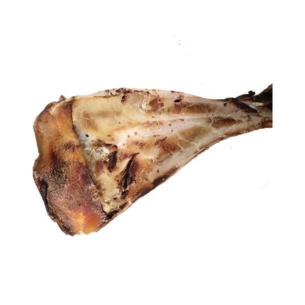 TIKKI KALVE SKULDERBLAD