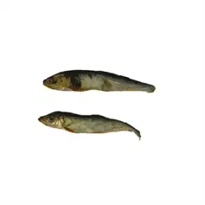 Brisling 150 g. EU
