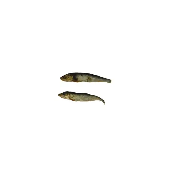 Brisling 150 g. EU