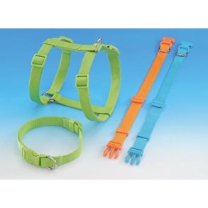 Sele Classic orange