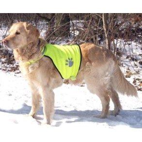 Sikkerhedsvest til hunden str L