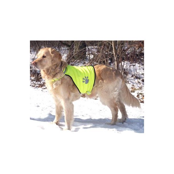 Sikkerhedsvest til hunden str S