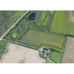 Indhegnet skov