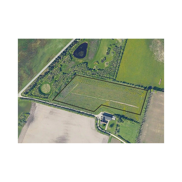 Indhegnet skov